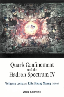 Quark Confinement And The Hadron Spectrum Iv