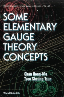 Some Elementary Gauge Theory Concepts