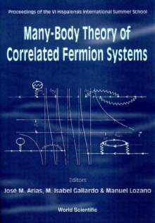 Many-body Theory Of Correlated Fermion Systems - Proceedings Of The Vi Hispalensis International Summer School