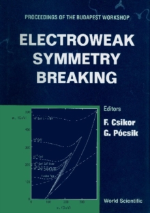 Electroweak Symmetry Breaking - Proceedings Of The Budapest Workshop