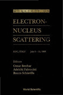 Electron-nucleus Scattering - Proceedings Of The Workshop