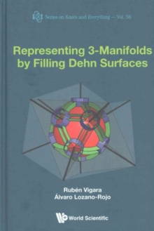 Representing 3-manifolds By Filling Dehn Surfaces, Hardback Book Representing 3-manifolds By Filling Dehn Surfaces, Hardback Book