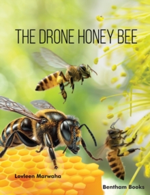 The Drone Honey Bee