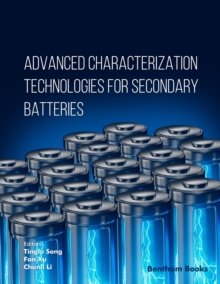 Advanced Characterization Technologies for Secondary Batteries