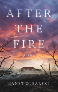 After the Fire : poems