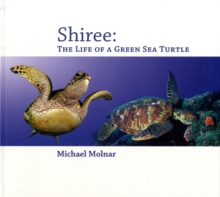 Shiree : The Life of a Sea Turtle, Paperback / softback Book Shiree : The Life of a Sea Turtle, Paperback / softback Book