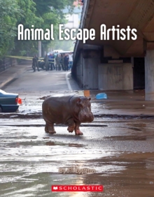 ANIMAL ESCAPE ARTISTS