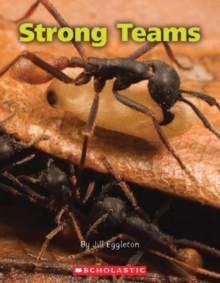 STRONG TEAMS