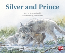 Silver & Prince X6