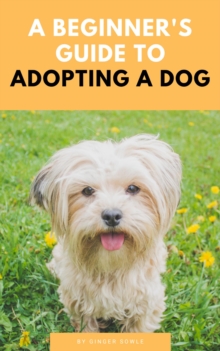 Beginner's Guide To Adopting A Dog