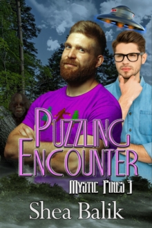 Puzzling Encounter : Mystic Pines, #3