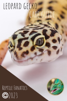 Leopard Gecko Care Guide