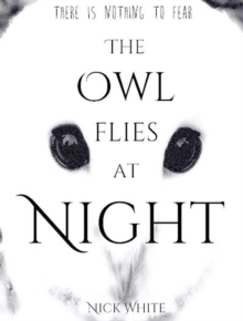 Owl Flies at Night