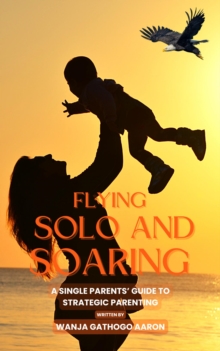 Flying  Solo And Soaring