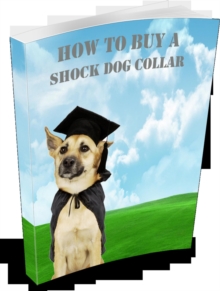 How to Buy a Shock Dog Collar