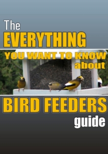 Everything you Want to Know About Bird Feeders Guide