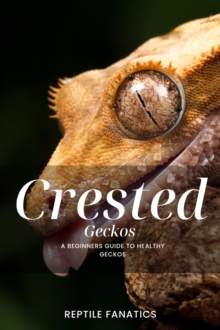 Crested Geckos: A Beginner's Guide to Happy and Healthy Geckos