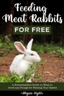 Feeding Meat Rabbits for Free