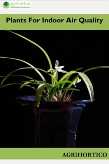 Plants for Indoor Air Quality