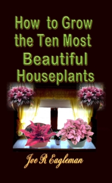 How to Grow the Ten Most Beautiful Houseplants