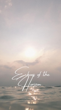 Echoes of the Horizon