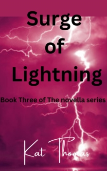 Surge of Lightning : Insanity Novella(Max POV), #3