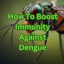 How To Boost Immunity Against Dengue