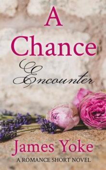 Chance Encounter