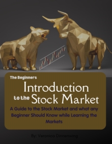 Beginners Introduction to the Stock Market