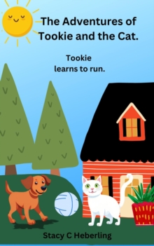 "Tookie Learns to Run" : "The Adventures of Tookie and The Cat", #1