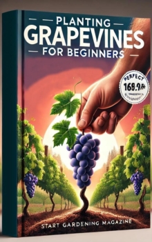 Planting Grapevines for Beginners