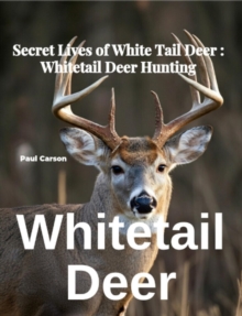 Whitetail Deer: Secret Lives of White Tail Deer: Whitetail Deer Hunting