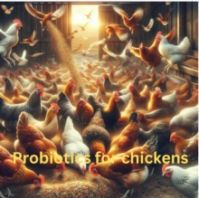 Probiotics for chickens