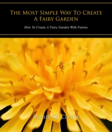 Most Simple Way to Create a Fairy Garden