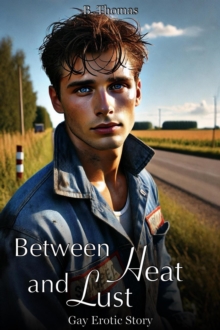 Between Heat And Lust - Gay Erotic Story