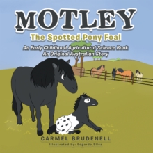 MOTLEY : The Spotted Pony Foal