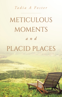 Meticulous Moments and Placid Places