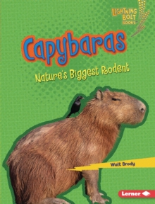 Capybaras : Nature's Biggest Rodent