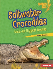 Saltwater Crocodiles : Nature's Biggest Reptile