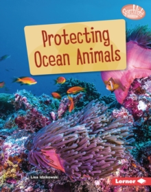 Protecting Ocean Animals