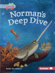 Norman's Deep Dive