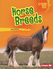 Horse Breeds