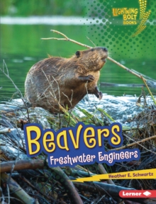 Beavers : Freshwater Engineers