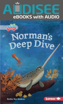 Norman's Deep Dive