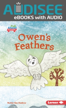 Owen's Feathers