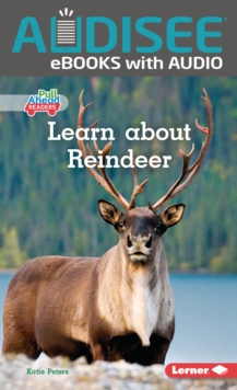 Learn About Reindeer