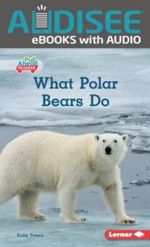 What Polar Bears Do