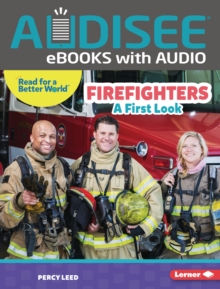 Firefighters : A First Look