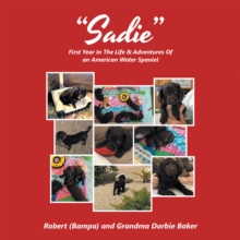 "Sadie" : First Year In The Life & Adventures Of an American Water Spaniel