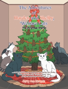 The Adventures of Hayden and Shelby, 'Welfare Cats : The Christmas Shelter